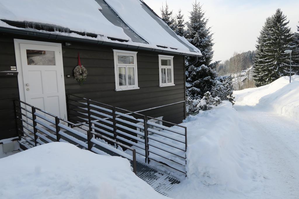 Horská Chata U Vleku Rokytnice nad Jizerou Exterior foto
